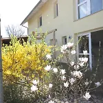 Windjammer Apartmán *