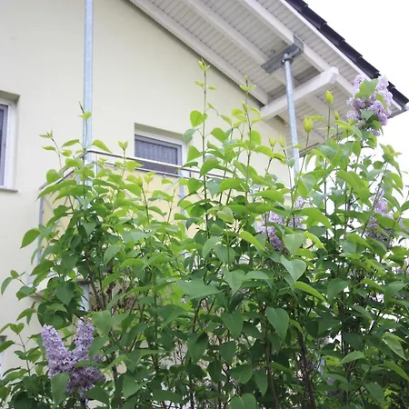 Windjammer Apartment Koserow